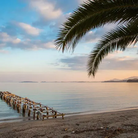 Kalliopi * Katavolos